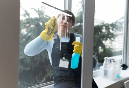 Nettoyage de vitres intérieures et extérieures à Saint-Laurent-de-Condel